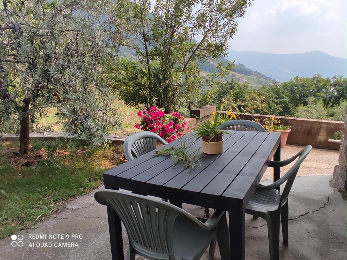 Casadolcelago Marone Villa Con Giardino Vista Lago Private Parking Eksteriør bilde