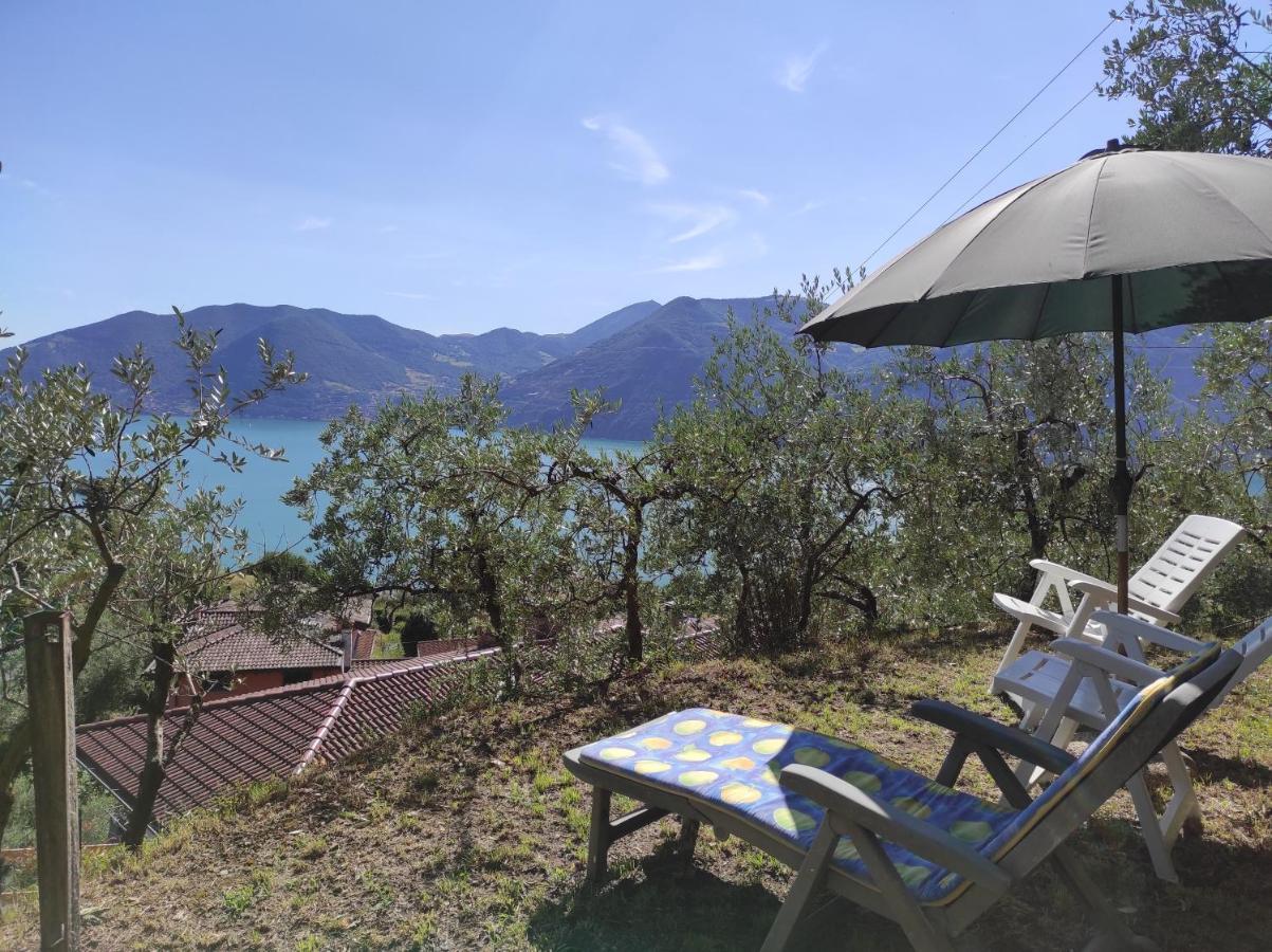 Casadolcelago Marone Villa Con Giardino Vista Lago Private Parking Eksteriør bilde