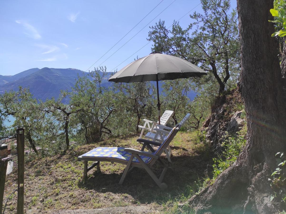 Casadolcelago Marone Villa Con Giardino Vista Lago Private Parking Eksteriør bilde