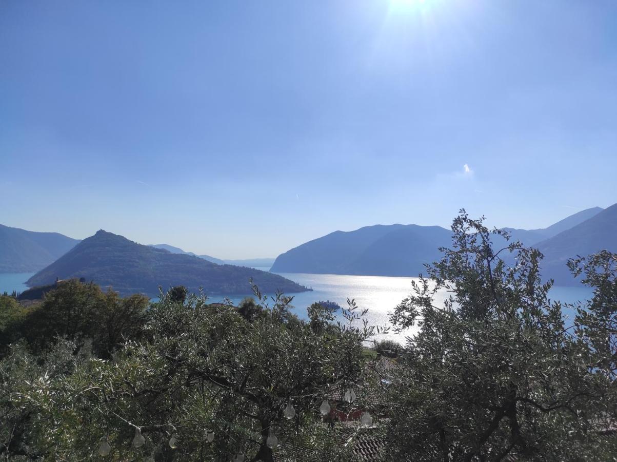 Casadolcelago Marone Villa Con Giardino Vista Lago Private Parking Eksteriør bilde