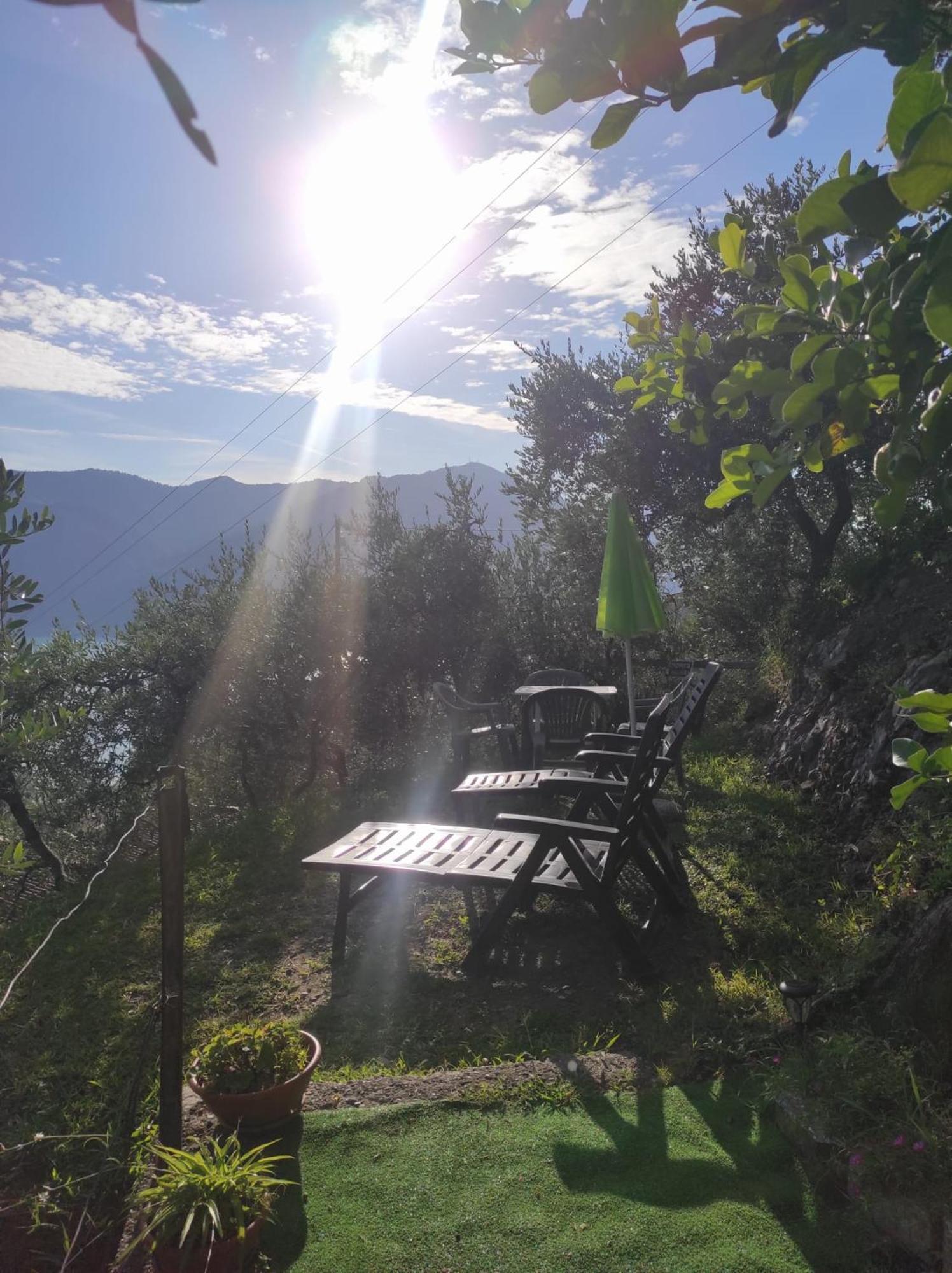 Casadolcelago Marone Villa Con Giardino Vista Lago Private Parking Eksteriør bilde