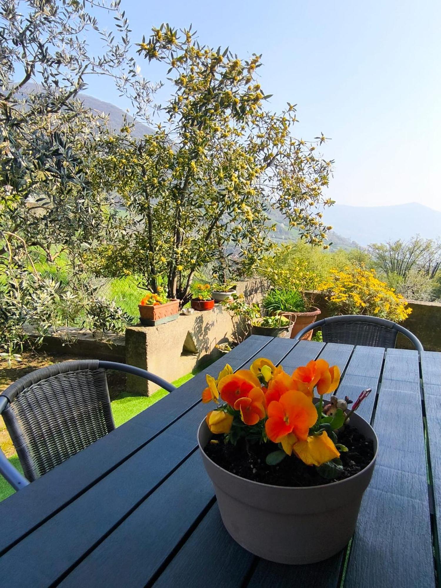 Casadolcelago Marone Villa Con Giardino Vista Lago Private Parking Eksteriør bilde
